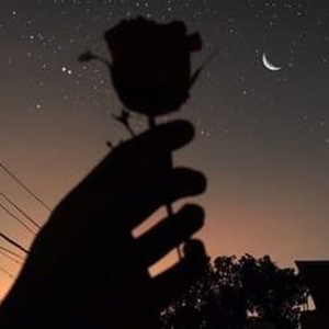 国内日B丝袜做爱网站
